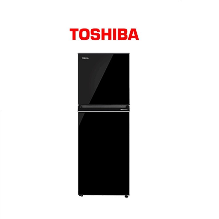 TOSHIBA REFRIGERATOR GR-RT300WE-PMY(UK) 270L INV