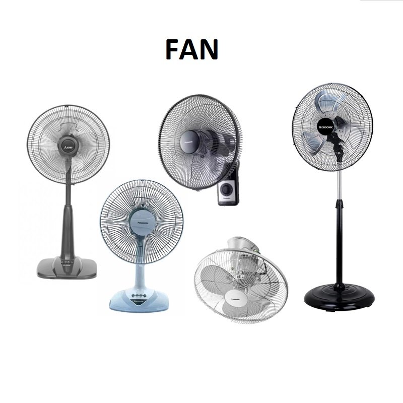 FAN